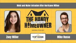 How to Protect Your Home from Mold After Hurricane Milton | Top Rank Roofing Florida Guide