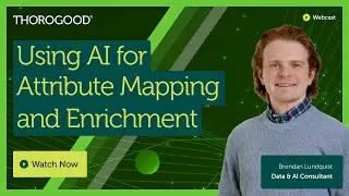 Using AI for Attribute Mapping and Enrichment