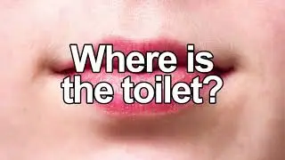 How to Say Where is the Toilet?