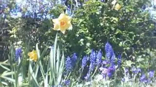 Miracles - Natural or Supernatural