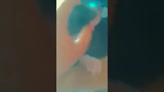 Robin Dimond Bolsonaro