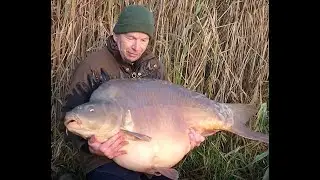 MEGA CARP - 31kg mirror - Northern Baits