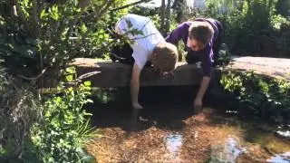 Stogumber School Storywalk