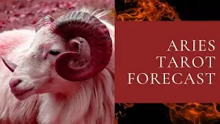 Aries Monthly Forecast (Timeless)