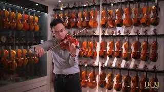 JxT BL-900 Violin