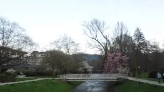 DSCN1012