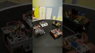 Melee for robots Sumo mini. Made in Russia.