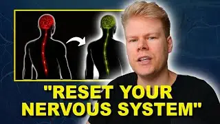 How To Calm An Overactive Nervous System: Lifestyle, Diet & Supplements