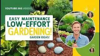 Easy Maintenance Garden Ideas: Low-Effort Tips for a Beautiful Garden!