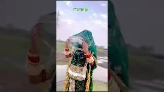 Rajputi poshak lover..#rajputiposak #poshaklover #baisaraj #baisalook #shorts #viral #ytshorts #song