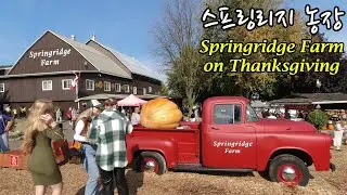 [4K] Springridge Farm - Milton Ontario Canada 스프링리지 농장