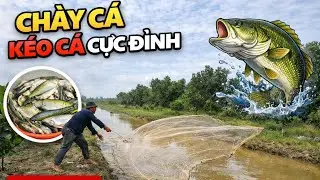 Quay về miền quê chài thử không ngờ quá nhiều ẩn số | Chài cá săn bắt mùa nước rút 
