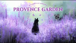 𝓛𝓪𝓿𝓮𝓷𝓭𝓮𝓻 𝓓𝓻𝓮𝓪𝓶𝓼 ✨🐈‍⬛ Relaxing French Music with Cat Ambience | Calming Music to Relieve Stress🌿
