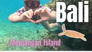 Bali Snorkeling - Best Snorkeling Spot In Bali - Menjangan Island 🏝️🐠