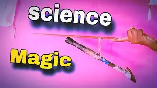 Amazing Gravity Trick 😱 - How Does a Hammer Balance On A Scale