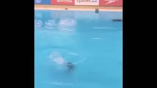 Kate MILLER (CAN)  - Junior Diving Championships 2022