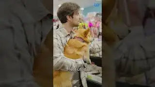 Your Dog Home Alone While At Work| Waggle