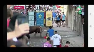 Salida del primer toro en burriana ganader&iacute;a la gineta im&aacute;genes burriana tv el 03/09/24