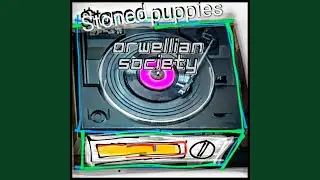 Orwellian Society