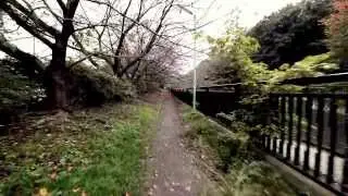 Steadicam Running - Flycam C5