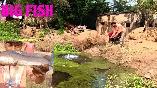 Mangur machhali ne dhaaga kat liya 😱 | A.P-DAILY BLOG 