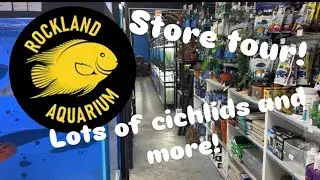 Super cool fish store tour!