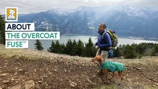 About the Ruffwear Overcoat Fuse&trade; Dog Jacket with Built-In Harness