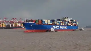 First direct cargo shipment from Peru's Chancay Port reaches Shanghai