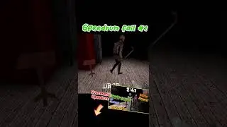 Insane Speedrun Fail #1