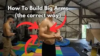 How to Build Your Arms FAST