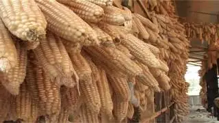 Business opportunities in Gisagara District