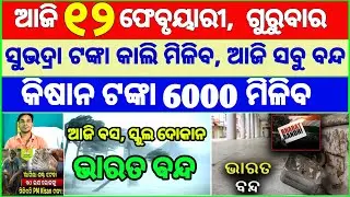 Today's breaking news odisha || Odia News | 12 February 2026 | CM Kisan |subhadra yojana online aply