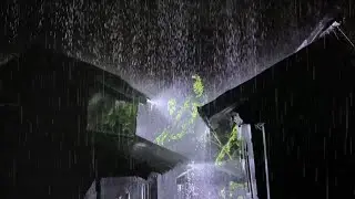 Heavy Rain and Thunderstorms Under a Tin Roof 🌨 ASMR Relaxation for Deep Sleep & Anxiety 🌨