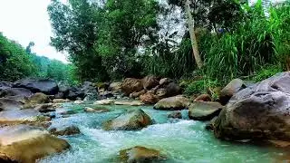 Flowing River Sounds for Rest &ndash; 12H Natural Water Ambience