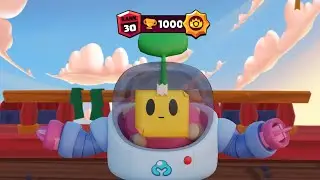 Rank 30 Sprout 38/38