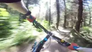 Atomic Dog - Galbraith, WA MTB