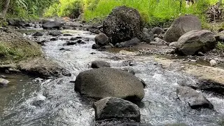 Natural River Sounds for Sleep 💧 Stress Relief, Meditation & Focus