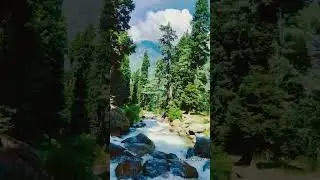 #nature #kashmirnature #shortsfeed #shorts #youtubeshorts #viralshort #trending#facts #sciencefacts