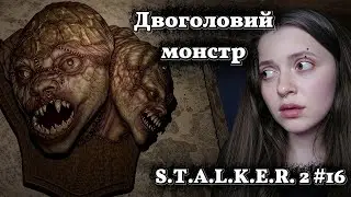 СОЮЗНИКИ, МУТАНТИ і ХАОС 💥 | S.T.A.L.K.E.R. 2 #16