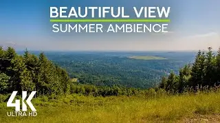 Escape to Poo Poo Point | 4K Scenic Vista with Pure Nature Sounds & ASMR Calm