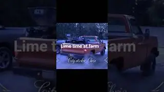 Lime time at the farm #shorts #citysticker #shortsfeed #viral  #shortsvideo #lime #squarebody