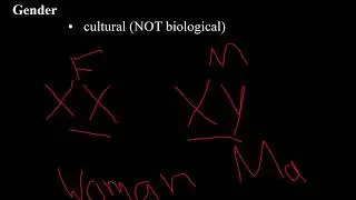 Lecture 17,  