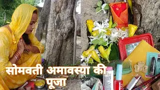 सोमवती अमावस्या की पूजा🙏🙏 सोलह सोमवार के दूसरे सोमवार कीभी पूजा 🙏🙏@poojajeetvlog