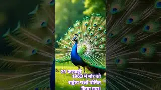 National bird of India🇮🇳#trendingshorts#trending#peacock#shortsfeed#shorts