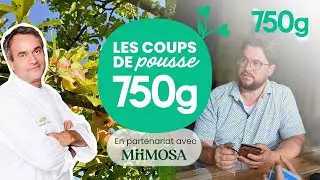 Chef Damien se lance dans le cidre avec Brice pour Miimosa (Recette vidéo)