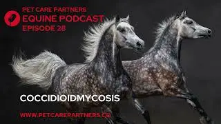 EP 28: Coccidioidomycosis in Horses: Valley Fever Explained | Pet Care Partners