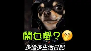 今日鬧真啲#多倫多#加拿大 