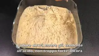Pasta Madre o Lievito Madre
