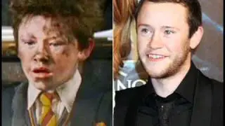 Harry Potter Tribute - All Grown Up
