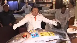 Record $4.7 million tuna sold in Tokyo fish market